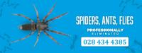 Rolleston Pest Control Ltd image 1